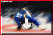 judo_g2.jpg (14501 bytes)
