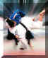 judoart16.jpg (14961 bytes)